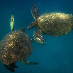 kpclem's profile picture. 