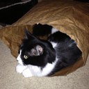 Vince Kelly - @imvincekelly - Twitter