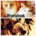 Free to Live (@freetoliveok) Twitter profile photo