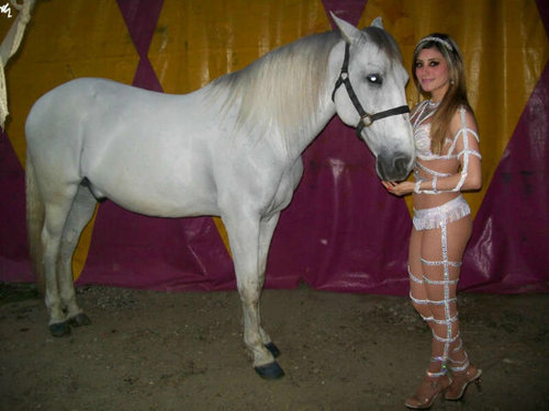 Equilibrista en el CIRCO LOS VALENTINOS. No se si yo elegí el circo, o el circo me eligió a mi... Solo se q en este mundo maravilloso nací, crecí y moriré.