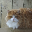 wendy ménard - @wendymenard74 - Twitter