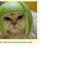 Beatriz Bermúdez (@allwa) 's Twitter Profile