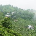 Sanjoy Mukherjee - @makaibarisanjoy - Twitter