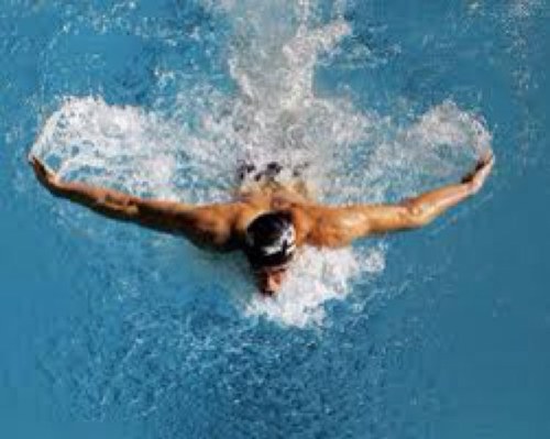 swimmingislife7's profile picture. swimming is my life3