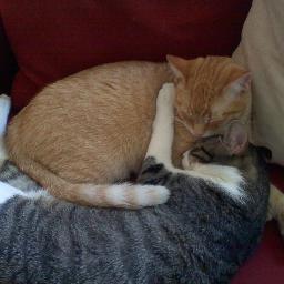 hbchem's profile picture. 