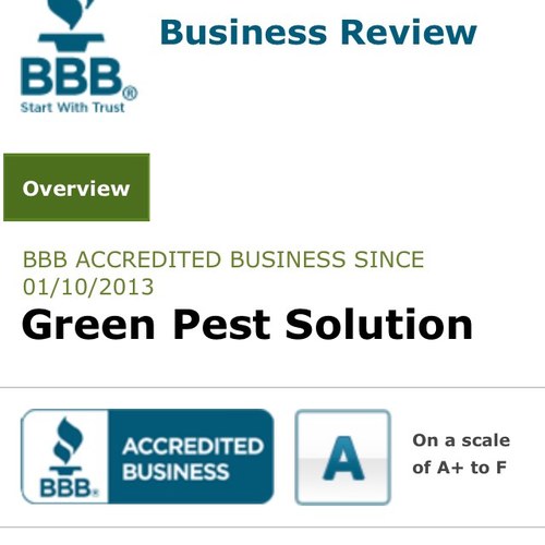 Most progressive pest control available. Started in 2008 and been growing ever since! Safe, effective & affordable!