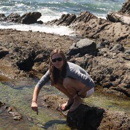 Scientist- Marine Biologist/Ecologist
