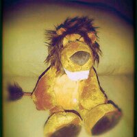 Dody Prasetya (@dodydalion) 's Twitter Profile Photo