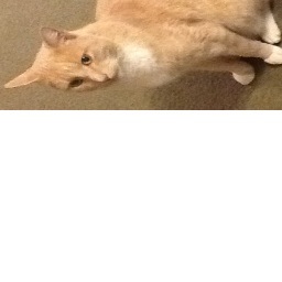 RCervai's profile picture. I do my own thinking