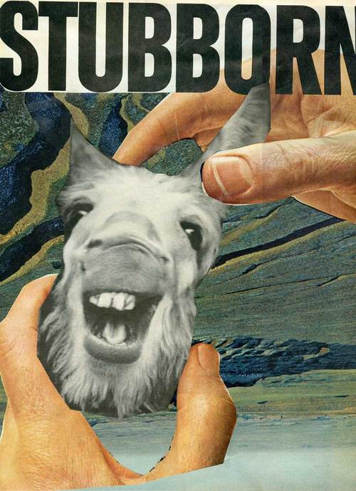 needlemonster's profile picture. 