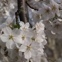 Christina Keller - @SoMDrInVegas - Twitter