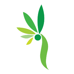Innovextree Technology Co., Ltd, a tree, it makes innovation. Our works are Web Design, Web Development, Mobile Application Development, Professional Training