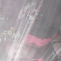 PcfcNomer's profile picture. 