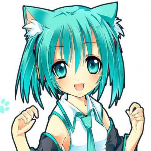 kazu/フィズさんのプロフィール画像