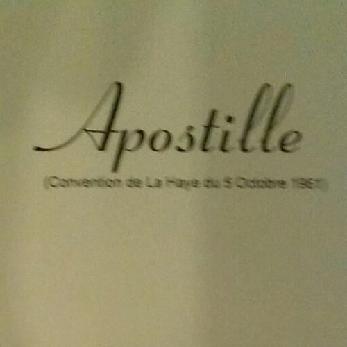 New York City Apostille service for documents that will be used in other countries (347)651-1219