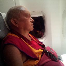 rogerkunsang's profile picture. 