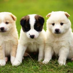 BrockWrion154's profile picture. 