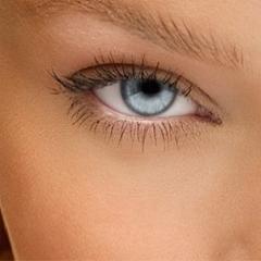 HerbsofKedems's profile picture. Dead sea products Wholesale, Herbs of Kedem, Phyto-Aroma-therapy, http://t.co/vjKzHDuenR Professional Israel cosmetics online.