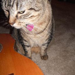 Evil mad kitty genius enslaving the human race 1 person at a time MawHaHa