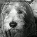 ANGEL ROS - @angelrosdaura - Twitter