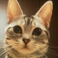 夏海* (@jupiter010215) 's Twitter Profile Photo 夏海* (@jupiter010215) 's Twitter Profile Photo