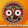 drhitesh108's profile picture. The tree of devotional service.