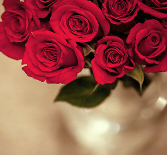 Fatoo00oom9's profile picture. 