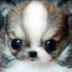 ViPFrIeNd1's profile picture. 