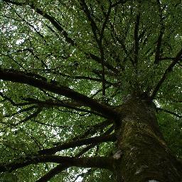 FrancoisBresset's profile picture. 