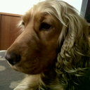 Diego Santos Serrano - @Dsantoslanga - Twitter