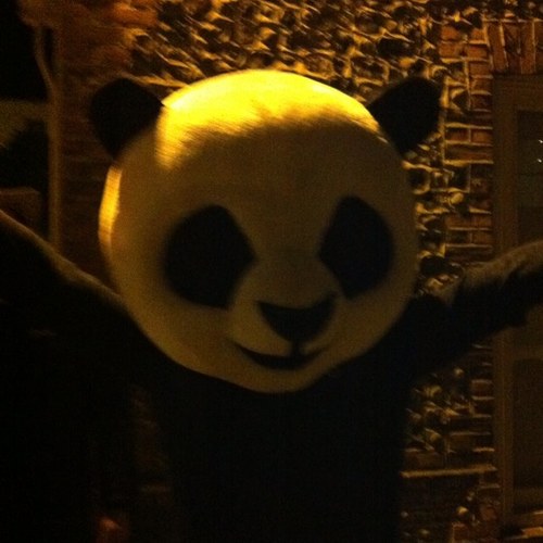 iainp17's profile picture. 