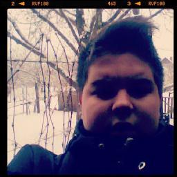 kristoofone's profile picture. 