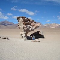 dunnet (@tadhgd) 's Twitter Profile