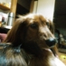 ใ๏ฝใกใ๐ฆ (@8766t) Twitter profile photo ใ๏ฝใกใ๐ฆ (@8766t) Twitter profile photo