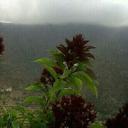 ريحان الجنوب (@22xls) Twitter