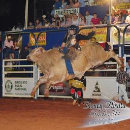 PBR Profficional Bull Rider.