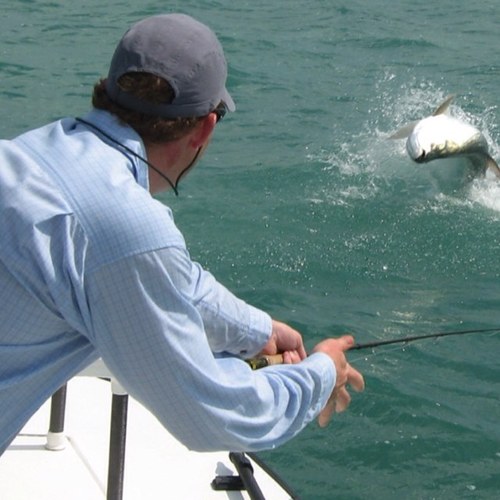 jmgray65's profile picture. lover, strong figure of a man, dad, cyclist, angler, friend, physician, retired CIA oper, gardener, knitter, twitterer, gentle soul, cornholer, R+F consultant