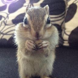 AlinaAdamma's profile picture. http://t.co/7eJY6zCD