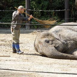 ベルトに生まれたかった気持ち悪い何か。もしかしなくても腰フェチ。
腐った私→ichiaya10