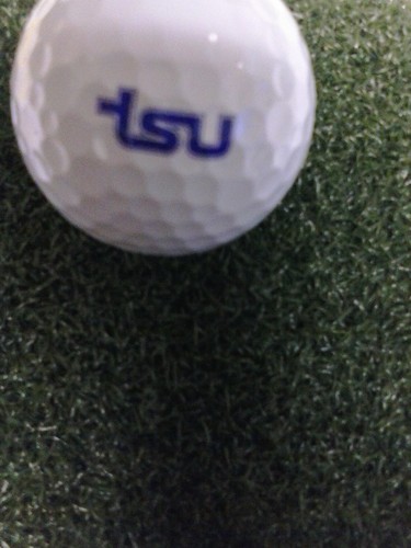 TSU Golf Coach