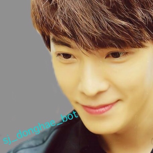ドンへ王子 Sj Donghae Bot Twitter ドンへ王子 Sj Donghae Bot Twitter