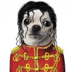 meu dono morreu