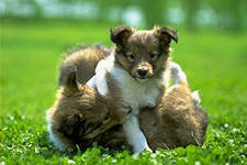 HowIMetYo's profile picture. #Фермерство, #Садоводство, #2014, #новости