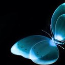 Maria loja - @mayaloja - Twitter