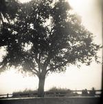 lucynguyen2510v's profile picture. 