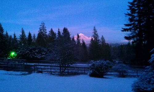 eldarada86's profile picture. 