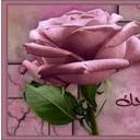 حصه (@22_hiss) Twitter