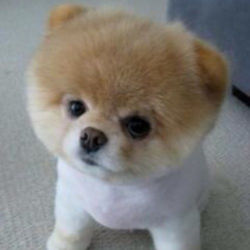 みるるん੯ू❛ัू ໒꒱さんのプロフィール画像