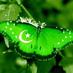saad ahmed (@saad_ahmed18) Twitter profile photo