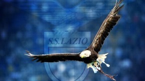 toschi_roberto's profile picture. 